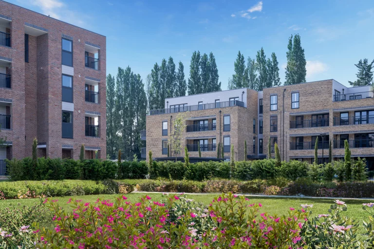 Image carousel 3537356 1769607475