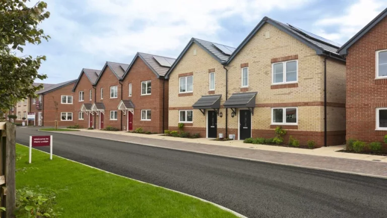 Image carousel 3538746 1769786811