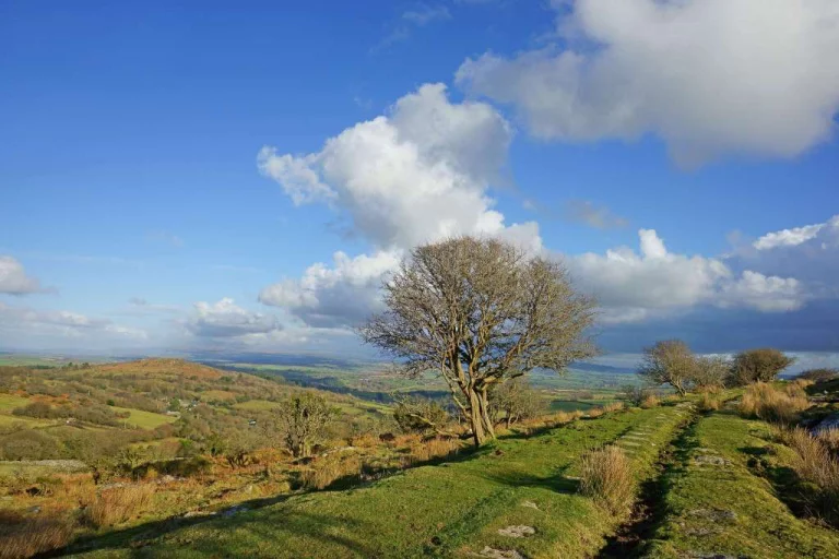 Image carousel 3538796 1769824874