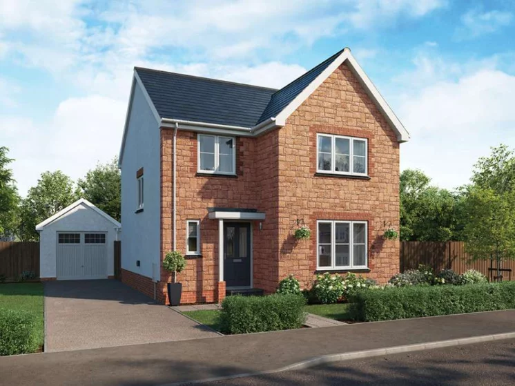 Image carousel 3538806 1769824875