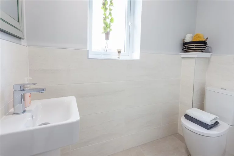 Image carousel 3539366 1769825244