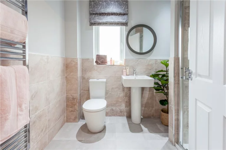 Image carousel 3539381 1769825246