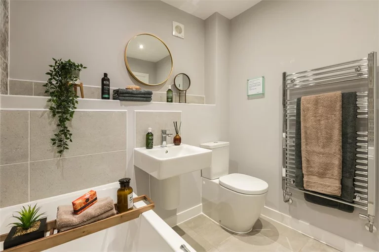 Image carousel 3540701 1769911864