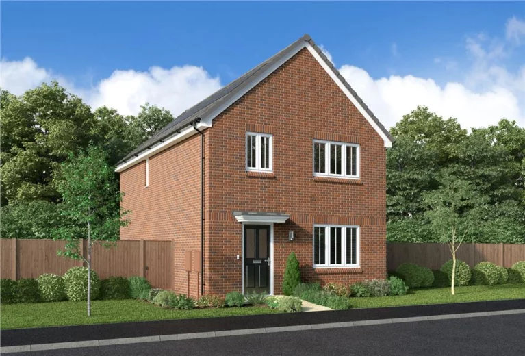 Image carousel 3540941 1769912400