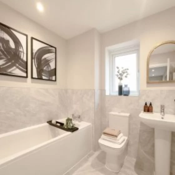 Image carousel 3541431 1770074873