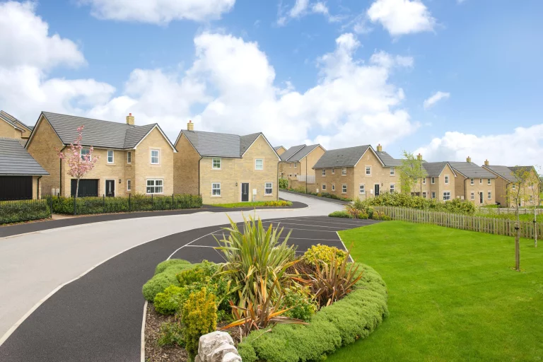 Image carousel 3541461 1770087643