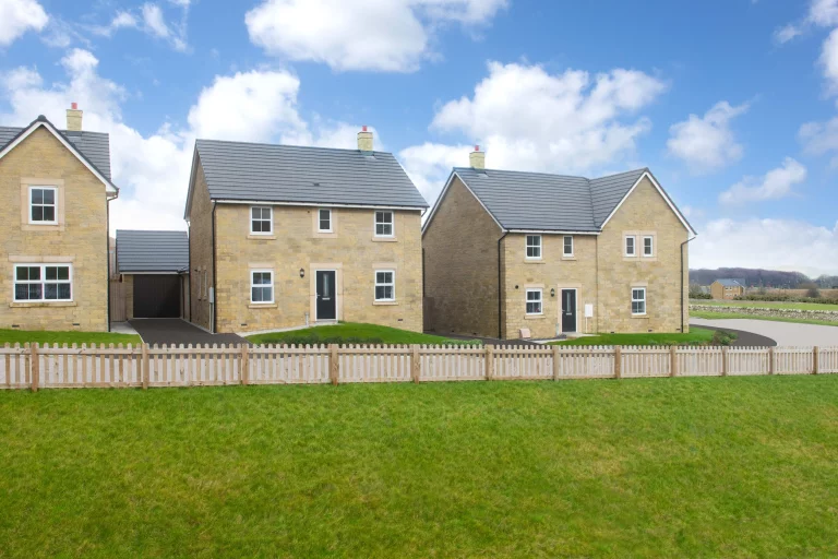 Image carousel 3541471 1770087645