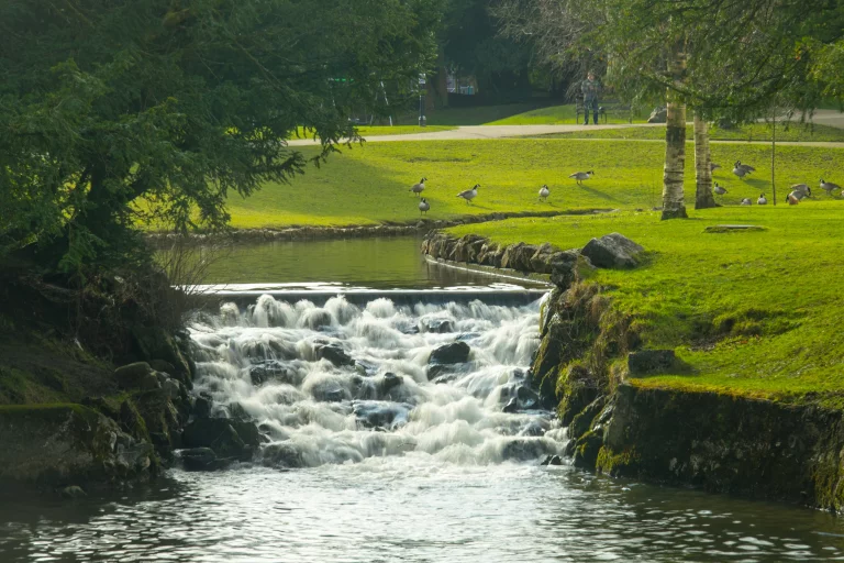 Image carousel 3541481 1770087646