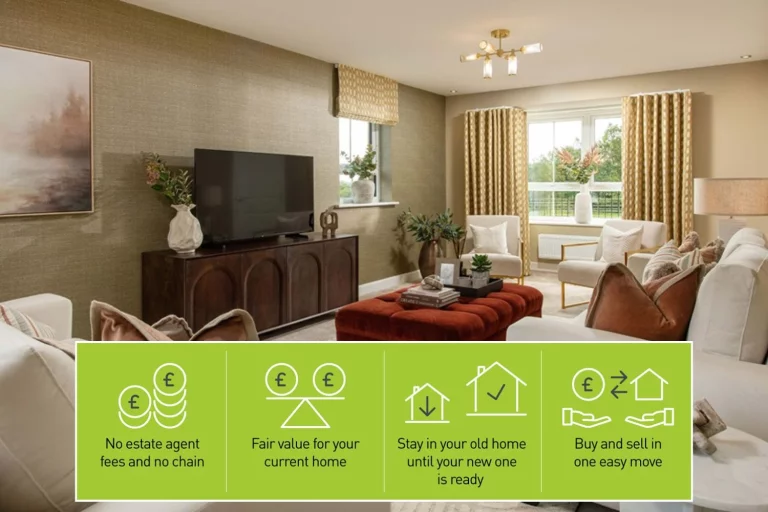 Image carousel 3541491 1770087647