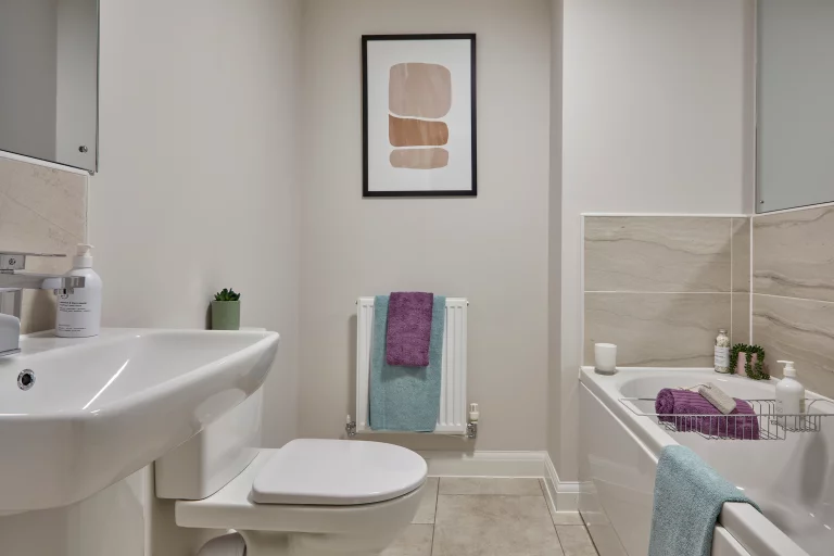 Image carousel 3541626 1770174074