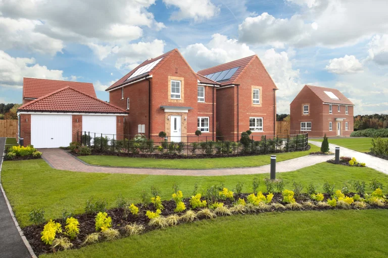 Image carousel 3541881 1770260475