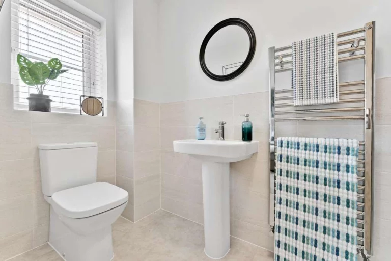 Image carousel 3542156 1770343293