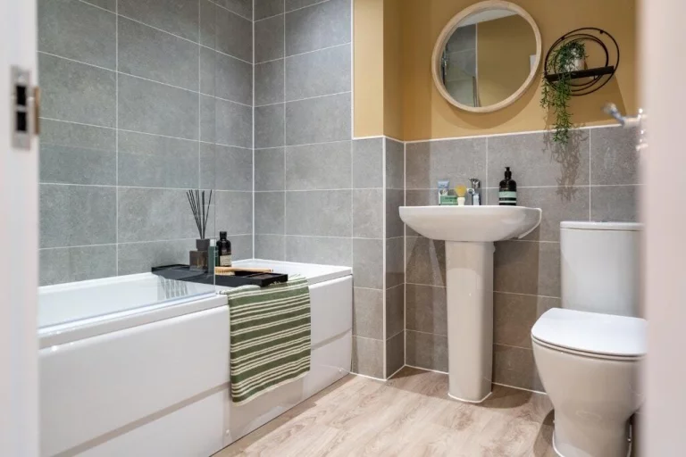 Image carousel 3542526 1770354051