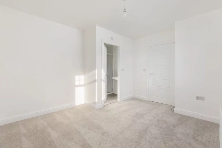 Image carousel 3543006 1770354075