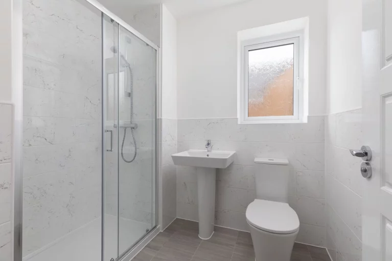 Image carousel 3543031 1770354076