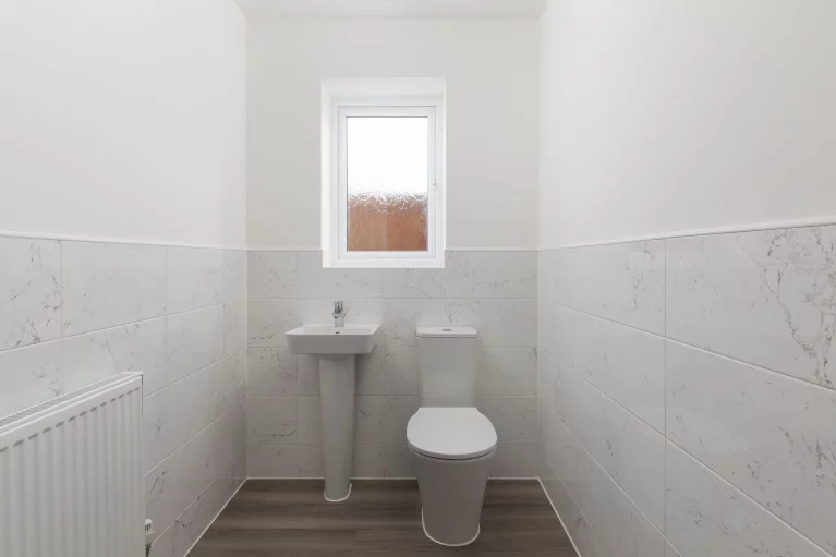 Image carousel 3543166 1770354081