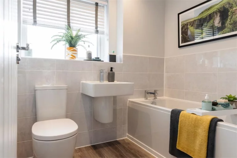 Image carousel 3545296 1770517902