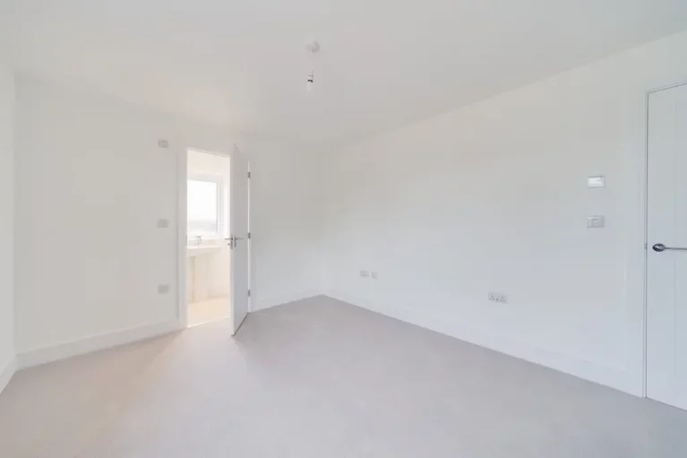 Image carousel 3545381 1770572465