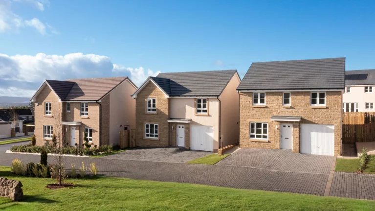 Image carousel 3547916 1771038109