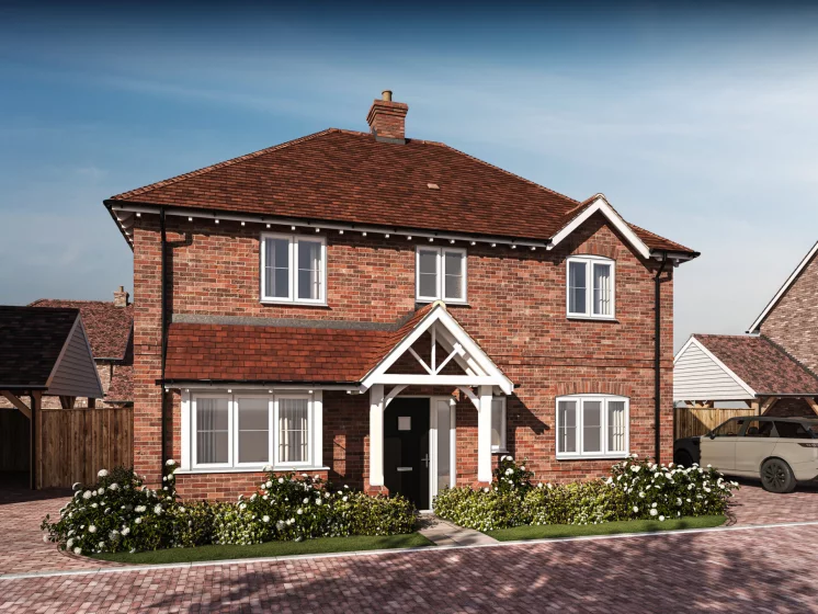 Image carousel 3548281 1771230012