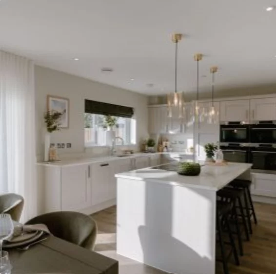 Image carousel 3548316 1771235084