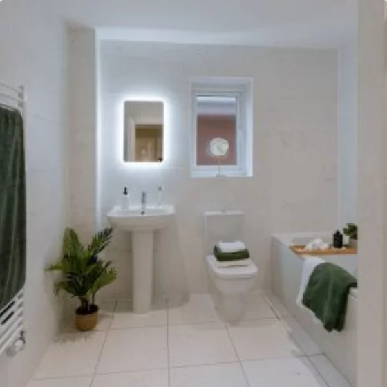 Image carousel 3548391 1771235399