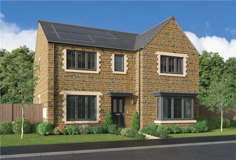 Image carousel 3548436 1771294875