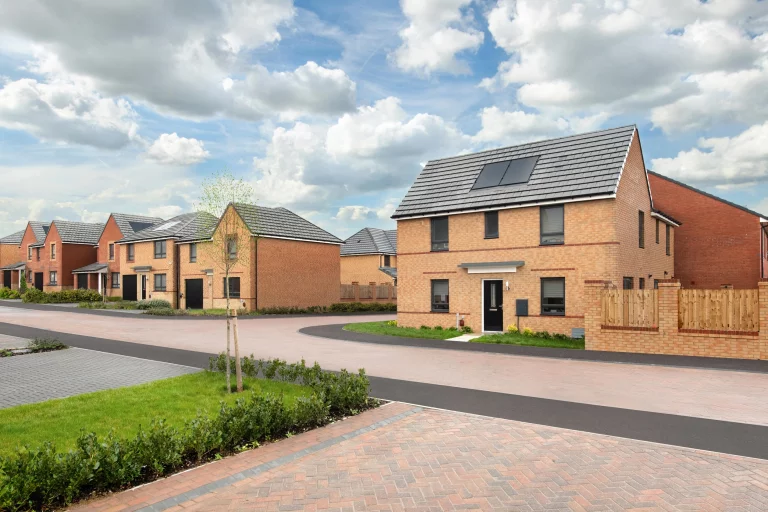 Image carousel 3548501 1771297280