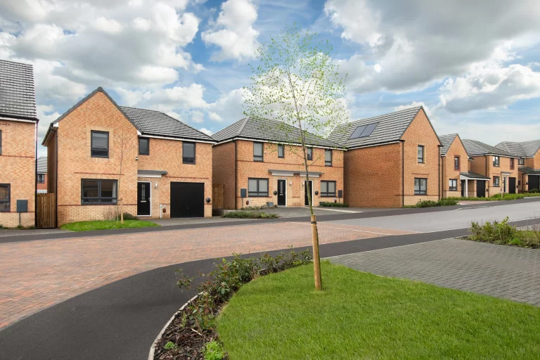 Image carousel 3548506 1771297281