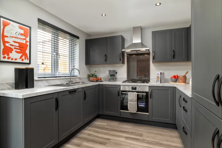 Image carousel 3548561 1771297452