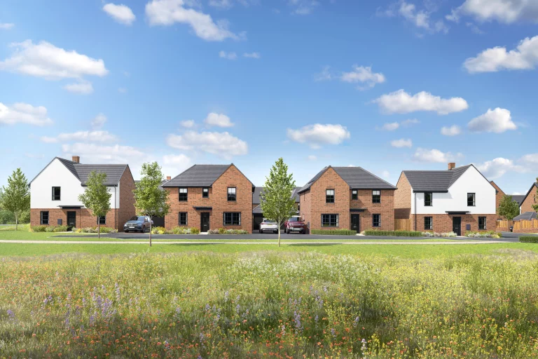 Image carousel 3548881 1771383638