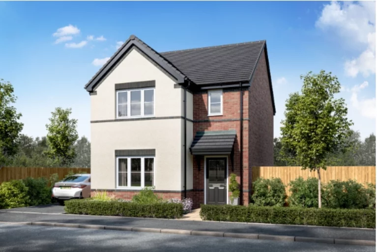 Image carousel 3549091 1771413505