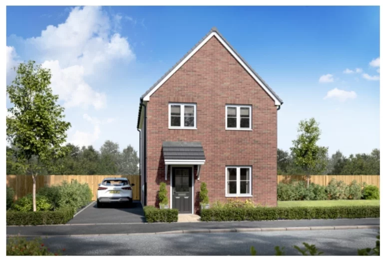 Image carousel 3549141 1771417406