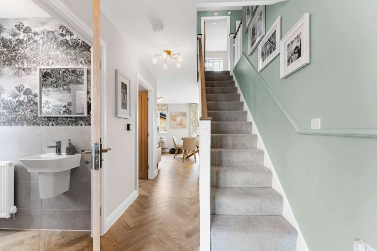 Image carousel 3549431 1771466487