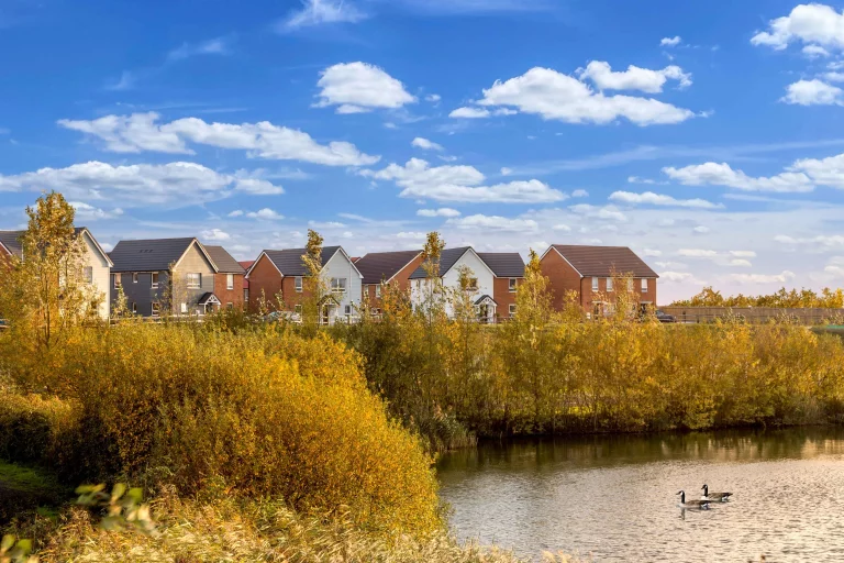 Image carousel 3549476 1771470054