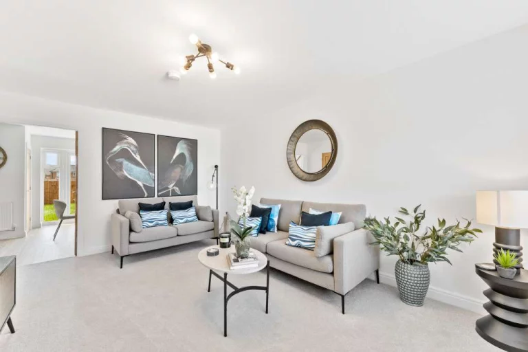 Image carousel 3549896 1771552882