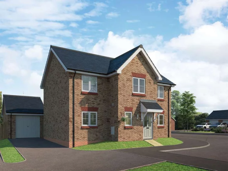 Image carousel 3549956 1771552898