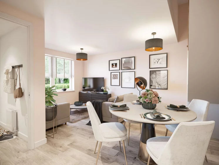 Image carousel 3550216 1771556659