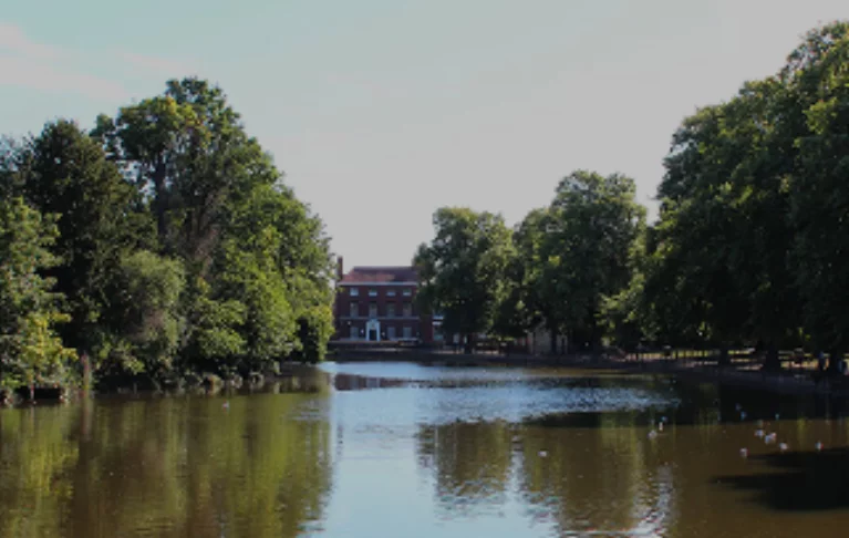 Image carousel 3550721 1771836484