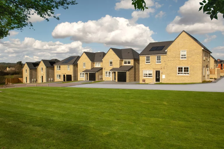 Image carousel 3550876 1771902087