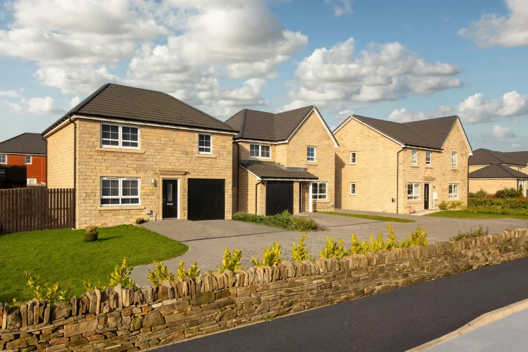 Image carousel 3550881 1771902088