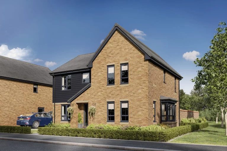 Image carousel 3550981 1771909267