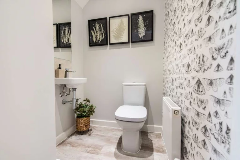 Image carousel 3551426 1772071255