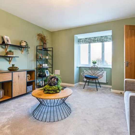 Image carousel 3551431 1772071255