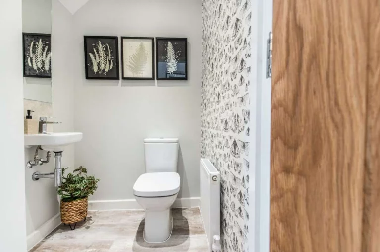 Image carousel 3551441 1772071256