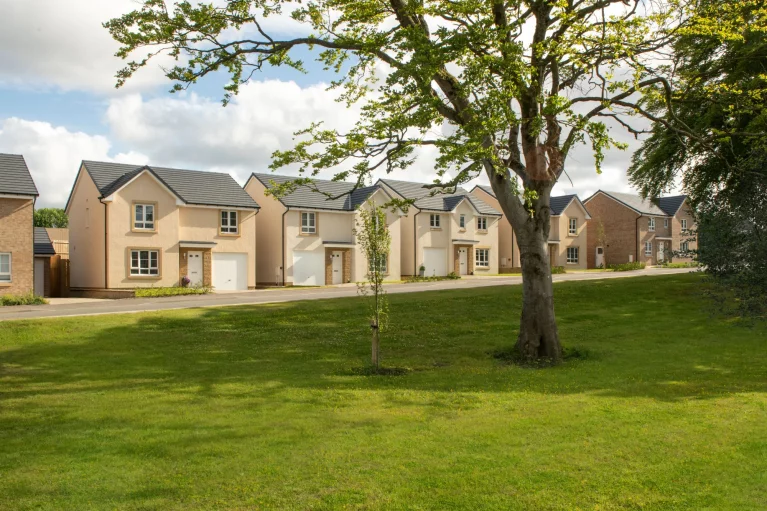 Image carousel 3551696 1772074885