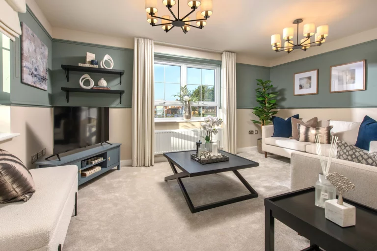 Image carousel 3551746 1772075081