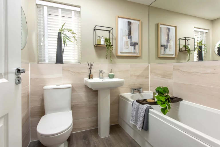 Image carousel 3551771 1772075085