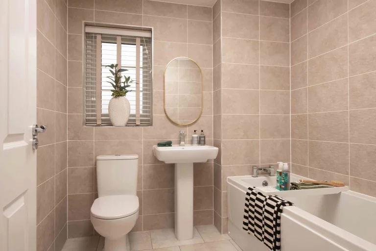 Image carousel 3551791 1772075090