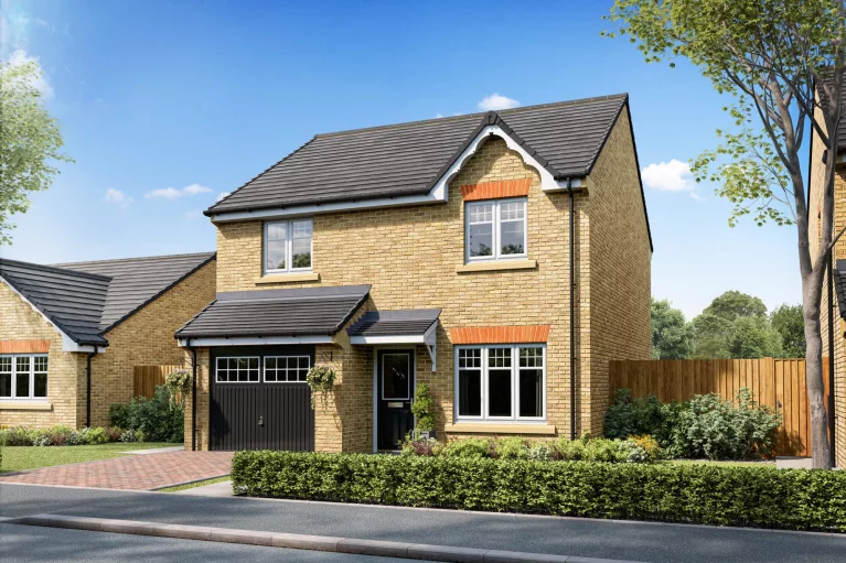 Image carousel 3552306 1772082092